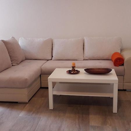 Apartment Nena- Apartman Sa Posebnim Ulazom U Prizemlju, Terasom I Zelenom Okucnicom Rakotule ภายนอก รูปภาพ