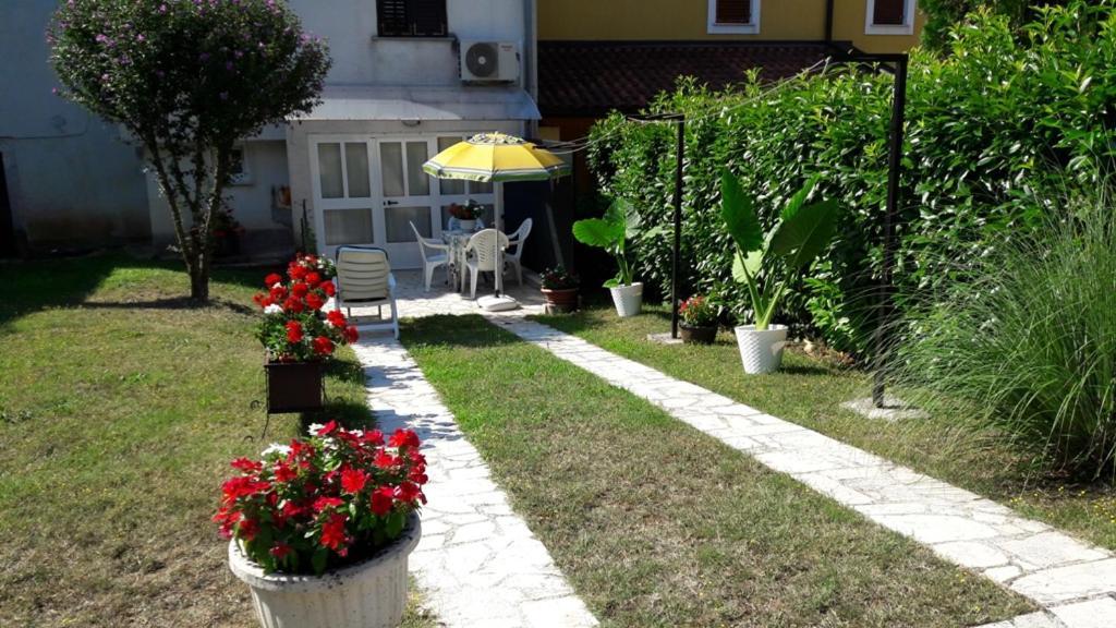 Apartment Nena- Apartman Sa Posebnim Ulazom U Prizemlju, Terasom I Zelenom Okucnicom Rakotule ภายนอก รูปภาพ